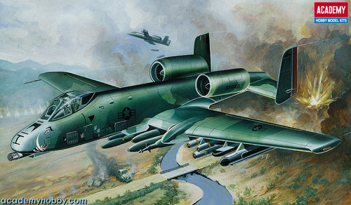 A-10A Thunderbolt - Image 1