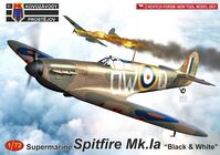 Supermarine Spitfire Mk.Ia "Black & White" - Image 1