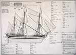 2_hlr80889_6.jpg