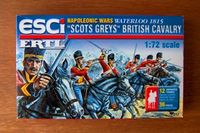 British Scots Greys Cavalry - Image 1