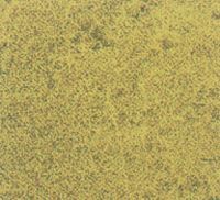 Trawa Mata - Image 1