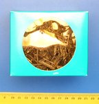 1_tam30614_3.jpg