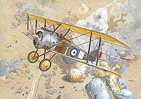 Sopwith F.1 Camel - Image 1
