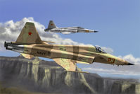 F-5E Tiger II fighter