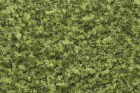 Coarse Turf Light Green
