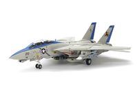 Grumman F-14D Tomcat - Image 1